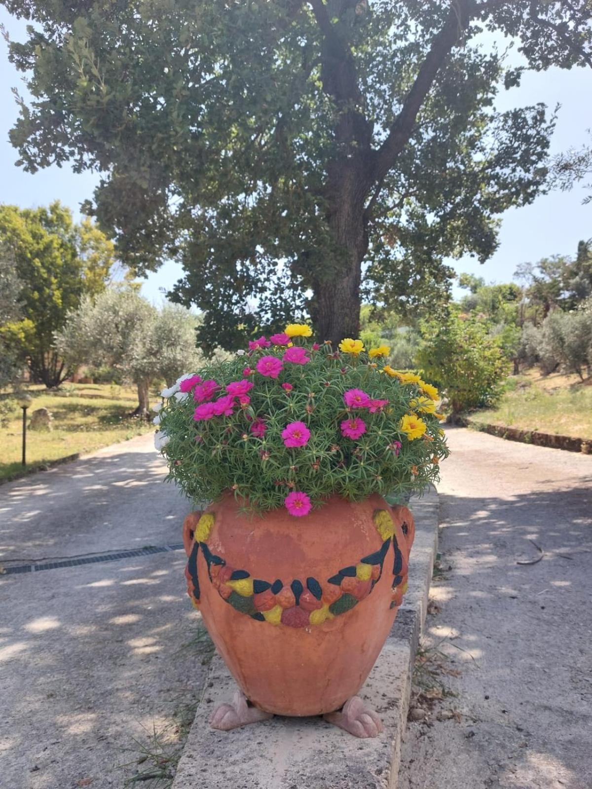 La Selvarella Montecchio Kültér fotó